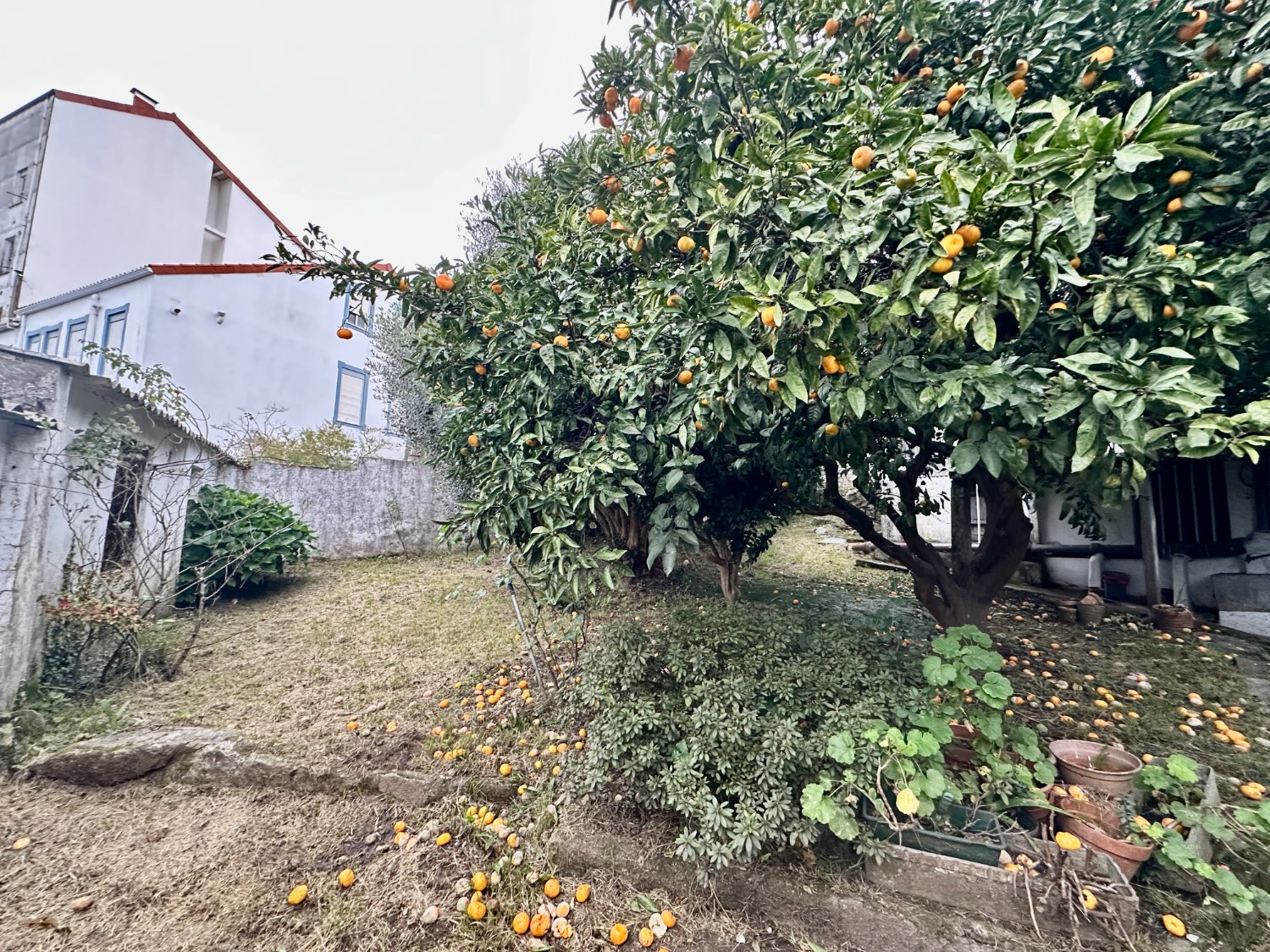 Hus till salu i Ferrol