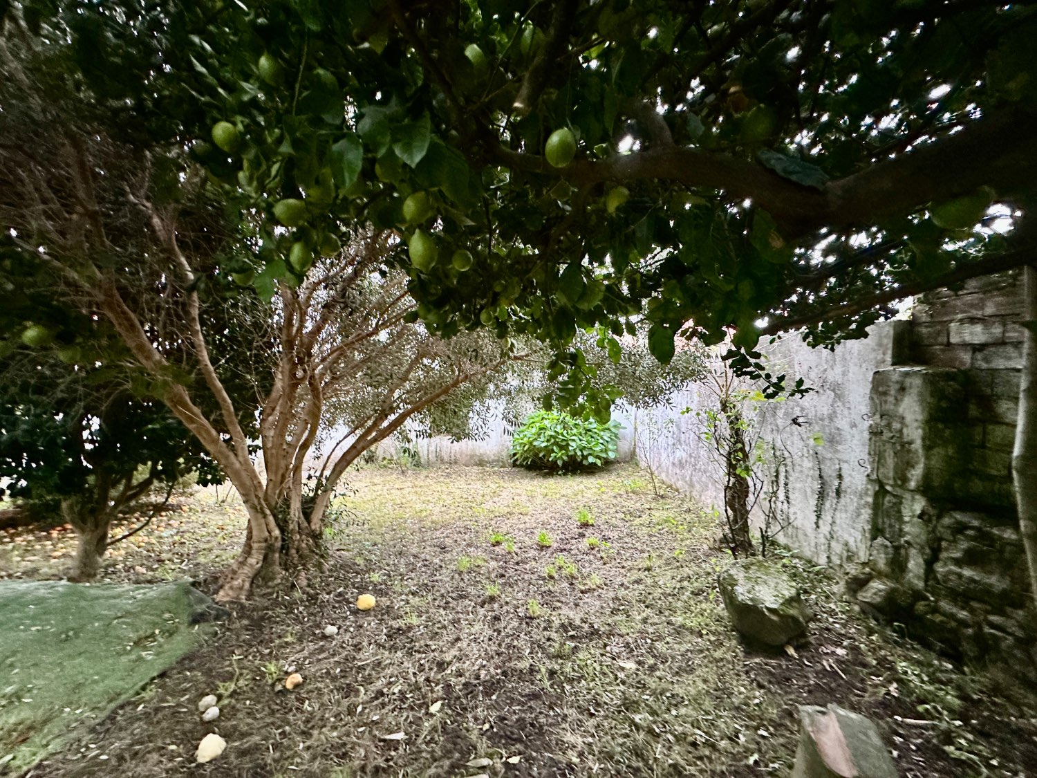 Hus till salu i Ferrol