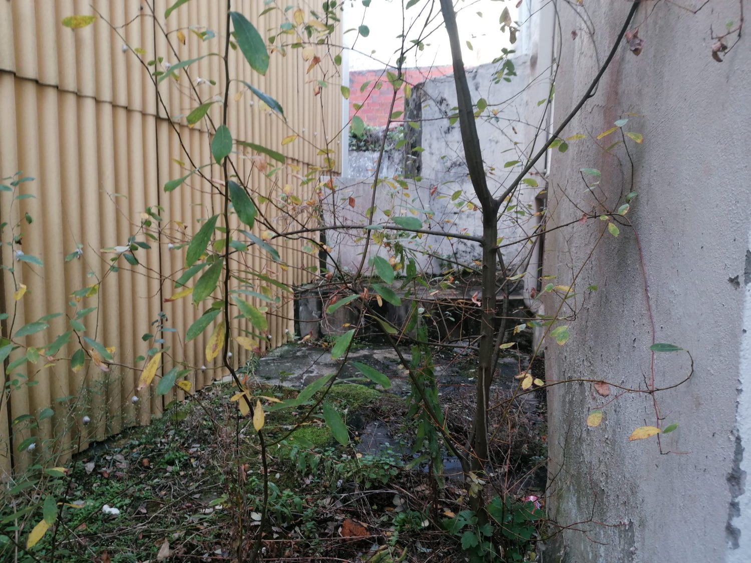 Hus till salu i Cedeira