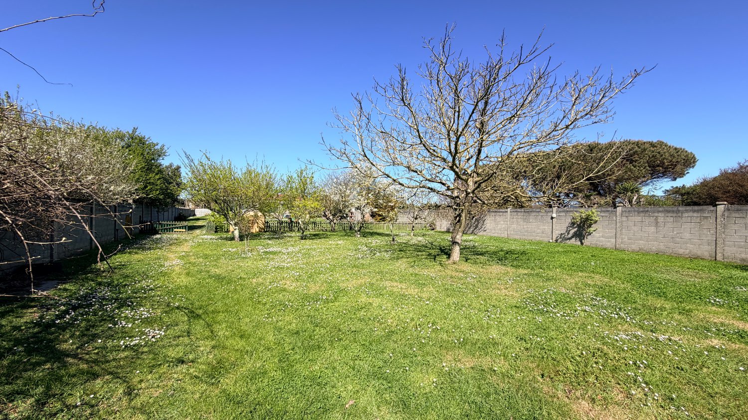 Precioso chalet Planta baja y piscina!!!