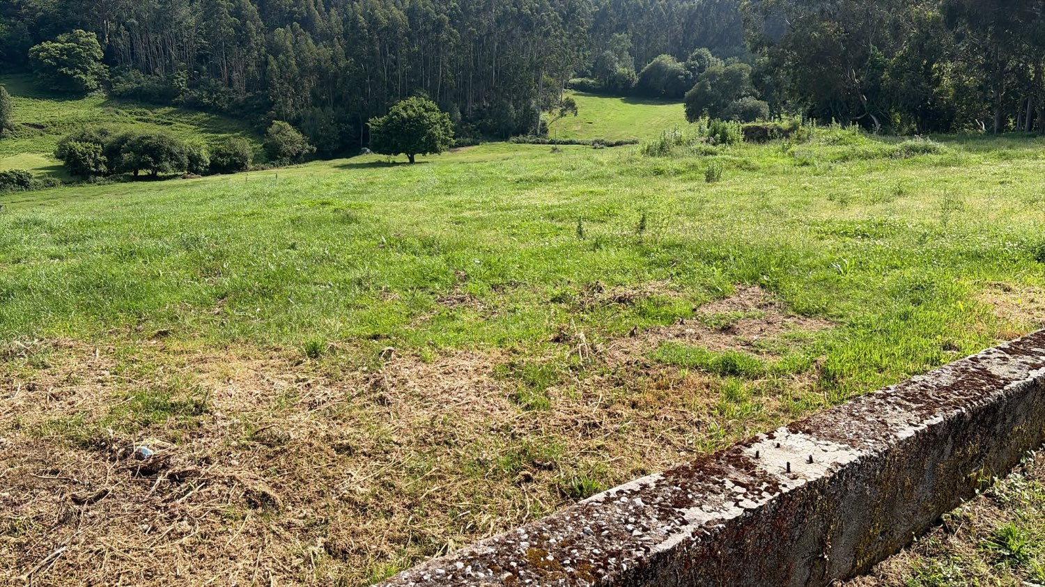 Solar en Brión