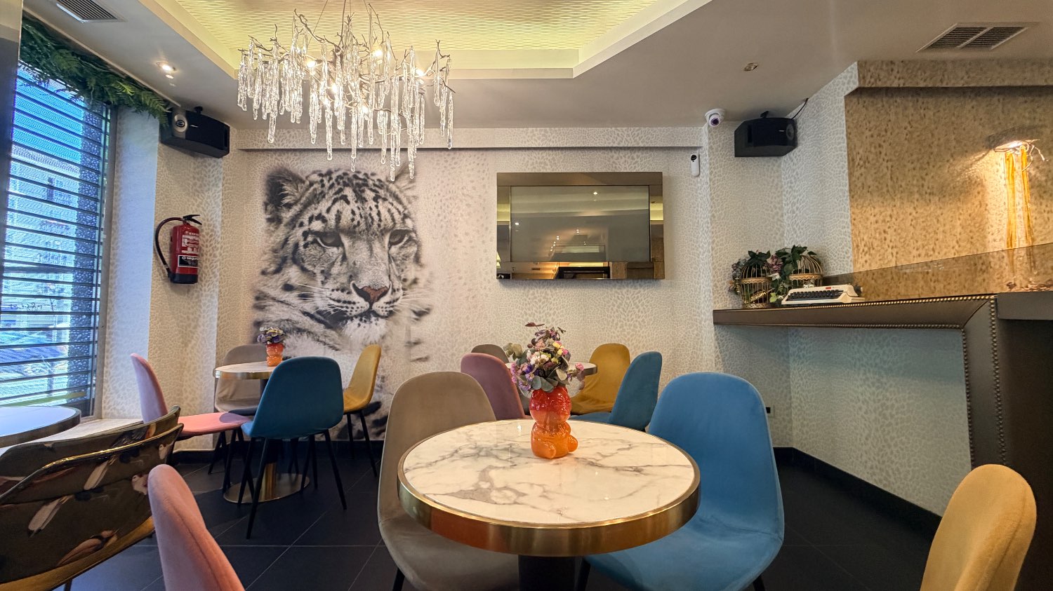 Espectacular cafetería en alquiler/venta