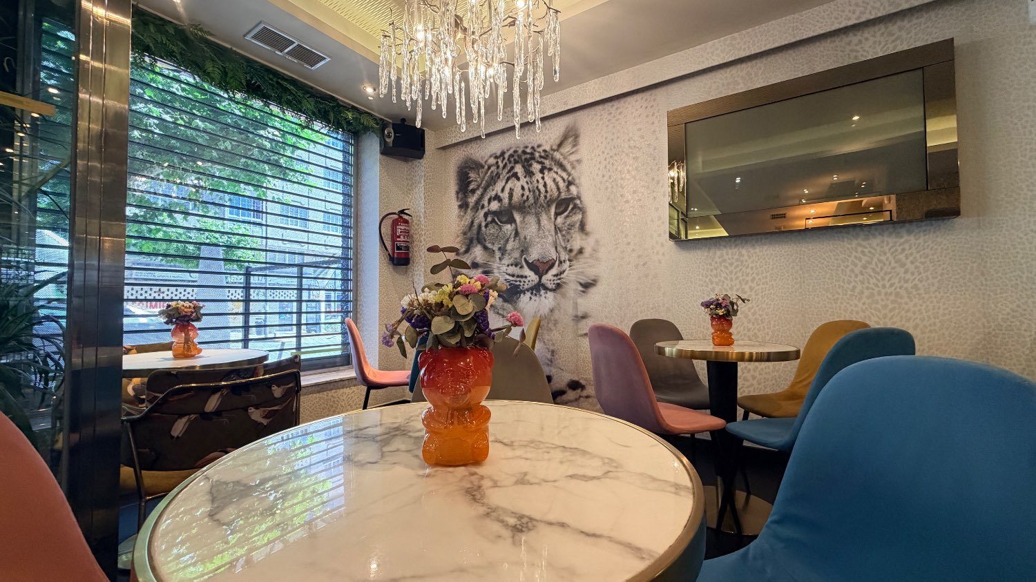 Espectacular cafetería en alquiler/venta