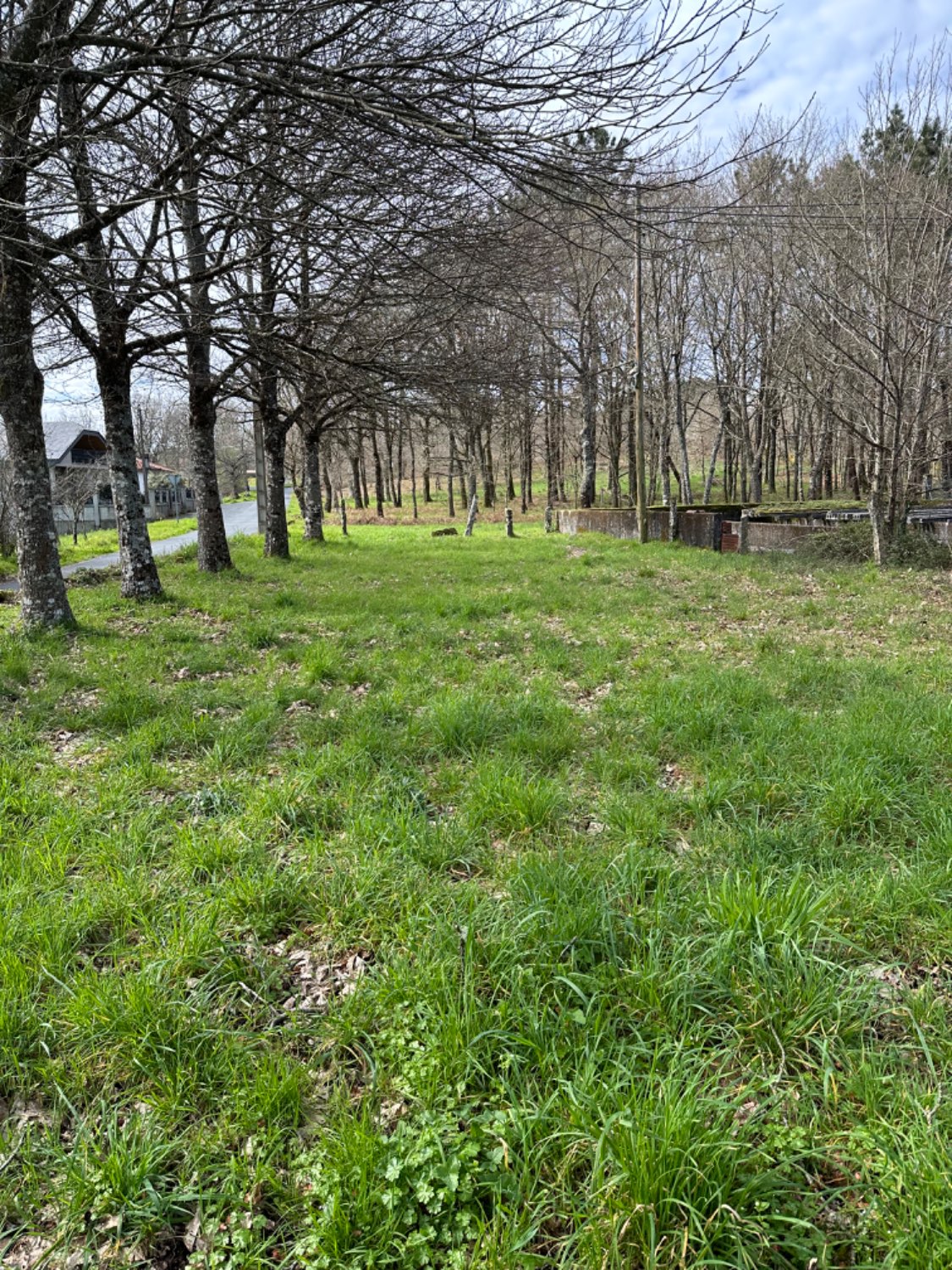 Lote de fincas en pleno Camino de Santiago