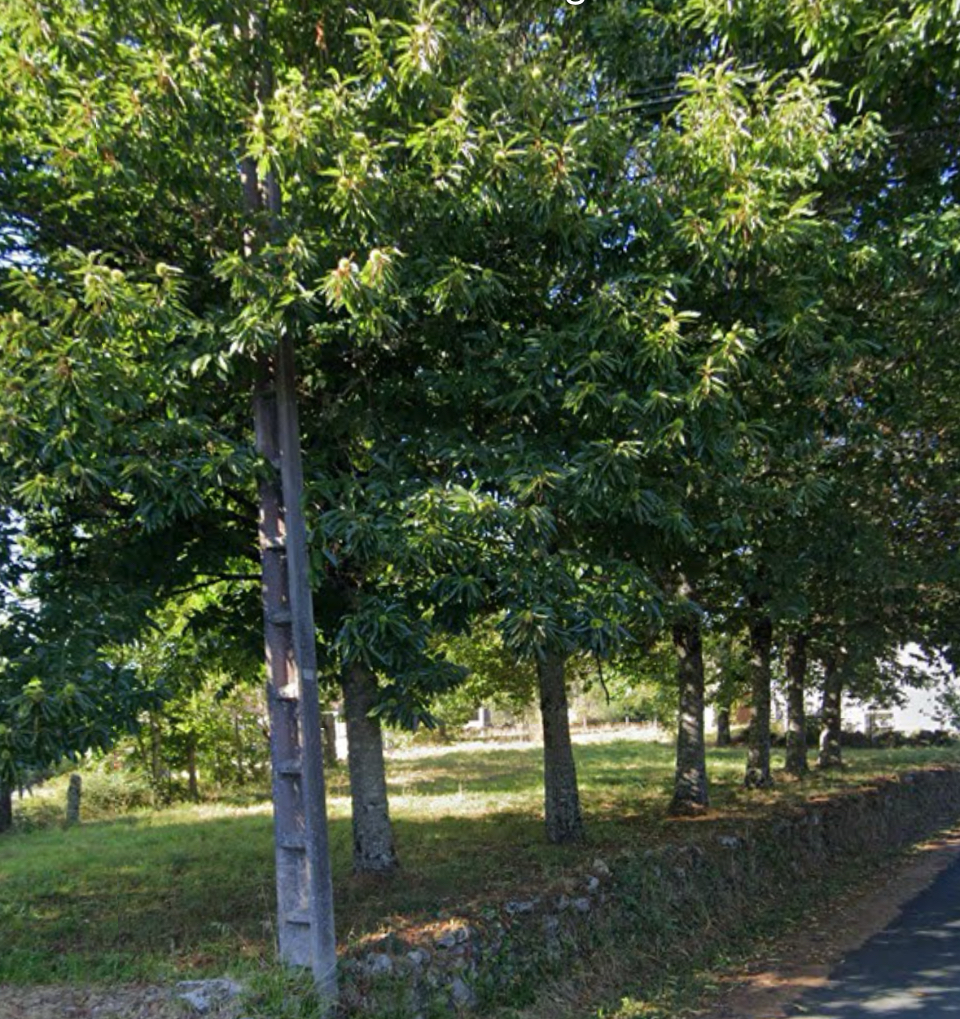 Lote de fincas en pleno Camino de Santiago