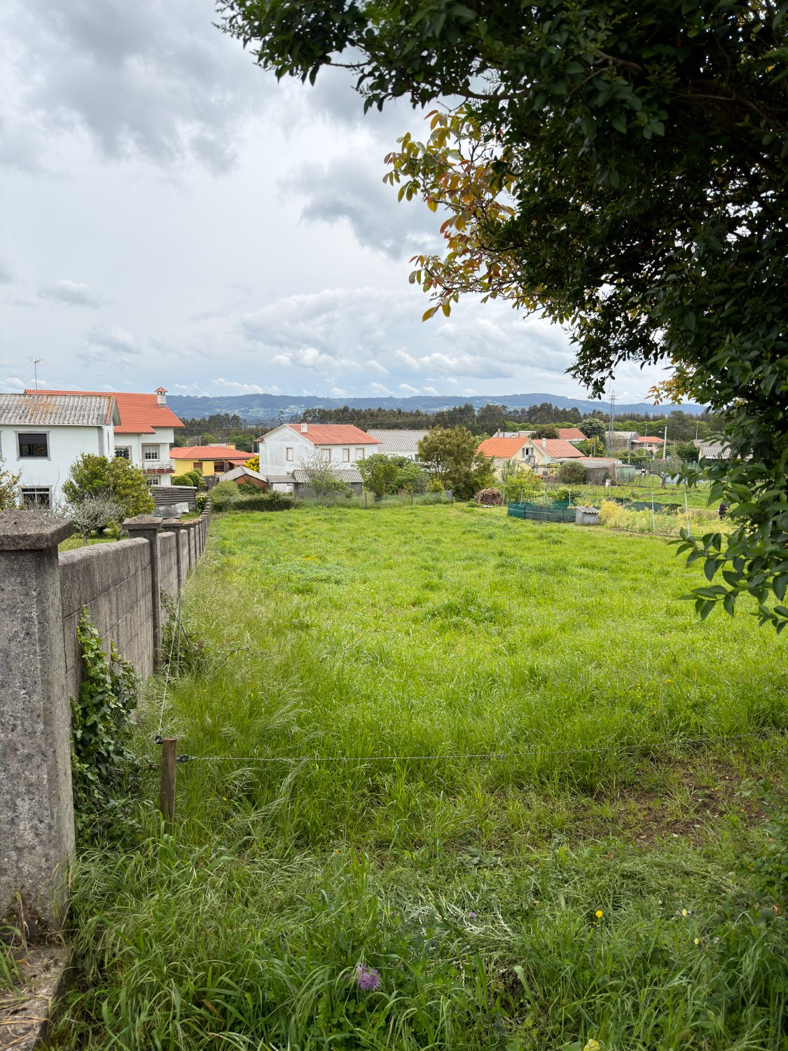 Se vende parcela para edificar de 1000m2