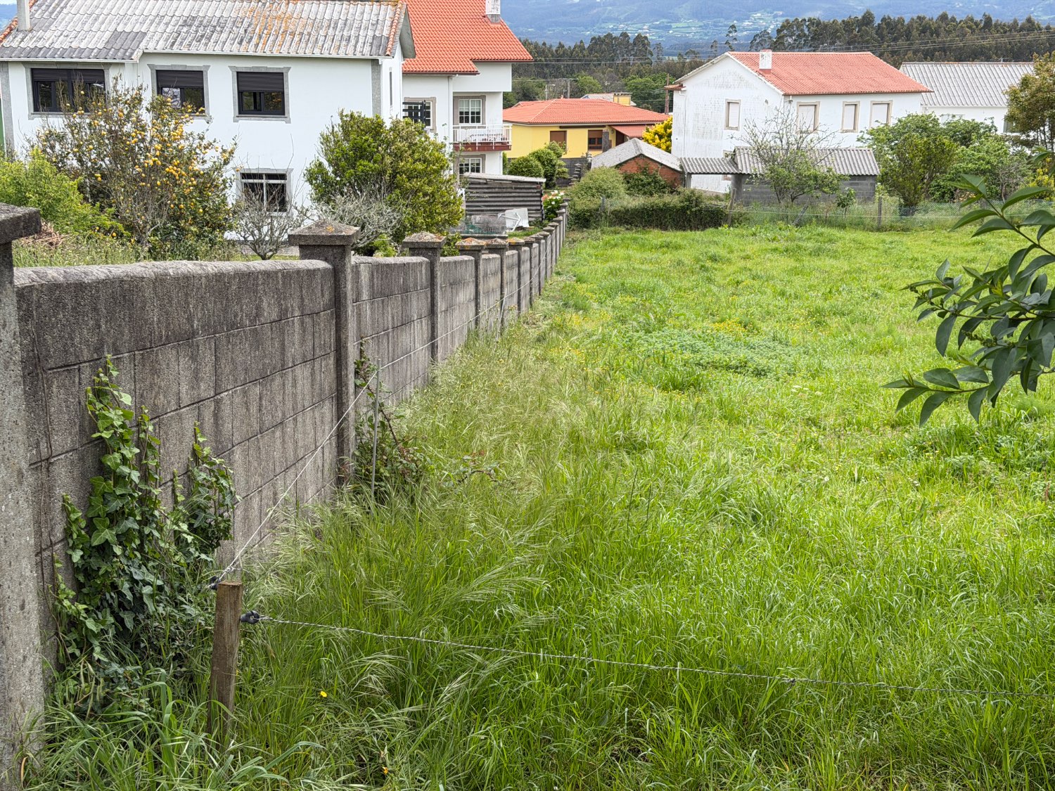 Se vende parcela para edificar de 1000m2