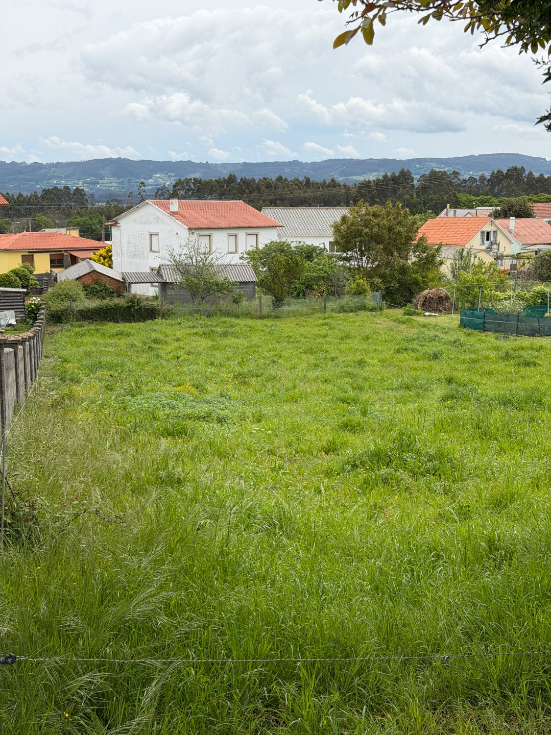 Se vende parcela para edificar de 1000m2