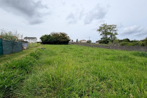 Se vende parcela para edificar de 1000m2